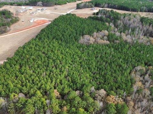 18 Acres Chambers : Lanett : Chambers County : Alabama