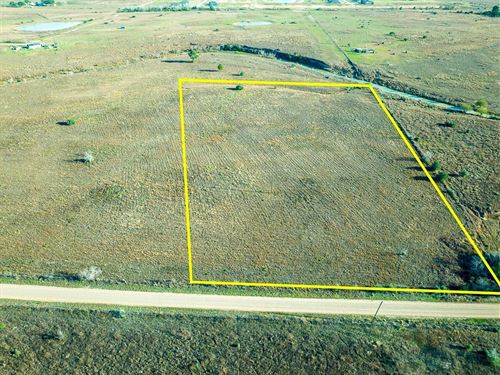 10.5 Acres, Wolchik Road : Sealy : Austin County : Texas