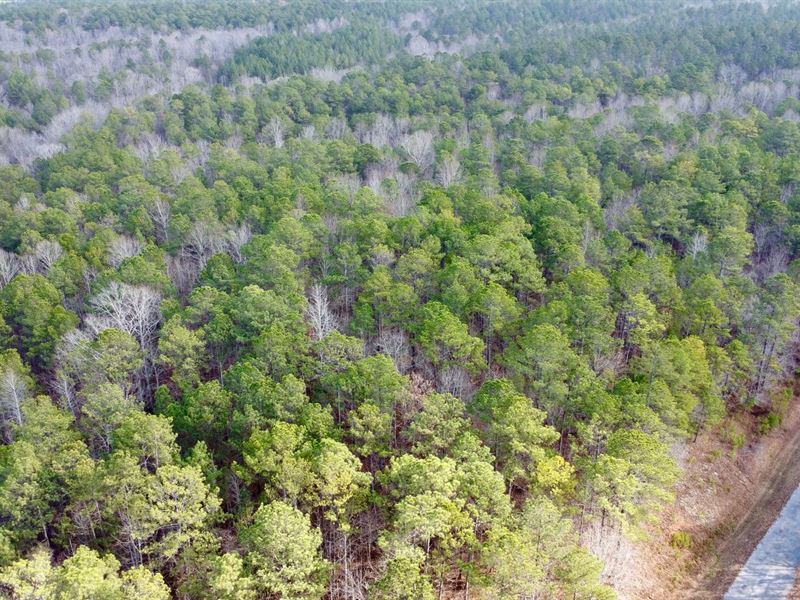 Turkey Pen Road Tract 3, 13 Ac : Cragford : Clay County : Alabama