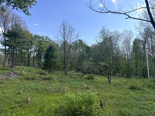 Build-Ready Woodlands : Camden : Oneida County : New York
