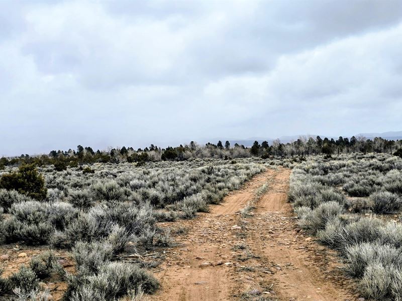 Uintah Foothills Ranch : Hayden : Uintah County : Utah