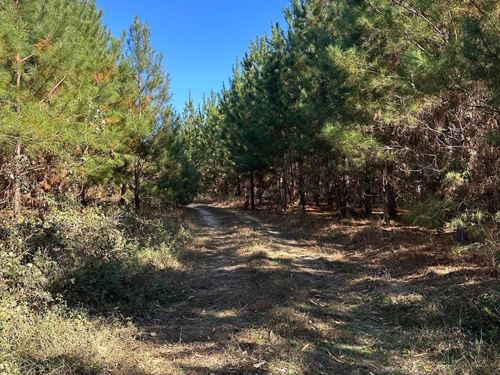 99 Acres in Ariton, Alabama : Ariton : Barbour County : Alabama