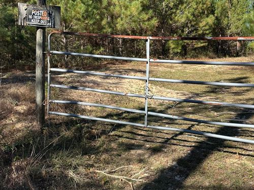 53 Acres River Rd : Ariton : Barbour County : Alabama