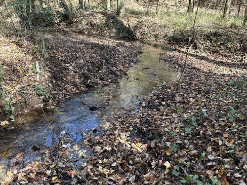 80 Acres Off Hwy 51 : Clio : Barbour County : Alabama