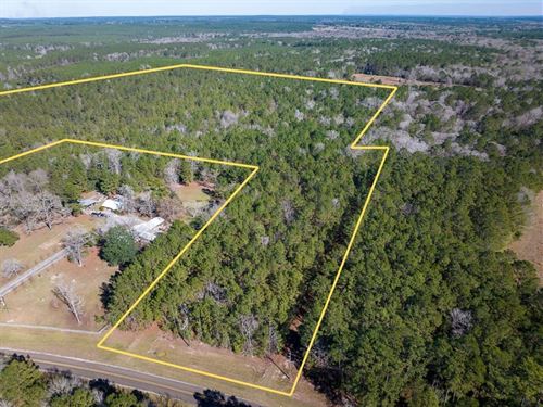 64 Acres, 3320 FM 3065 : Colmesneil : Tyler County : Texas