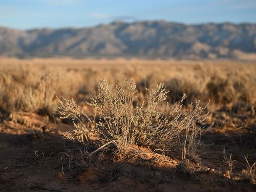 Wide Open Land Near Belen, NM : Belen : Valencia County : New Mexico