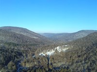 Beaverkill Forest : Hancock : Delaware County : New York