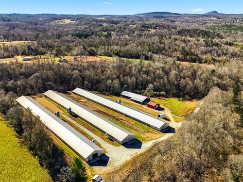 Wing Breeder Farm : Vale : Catawba County : North Carolina