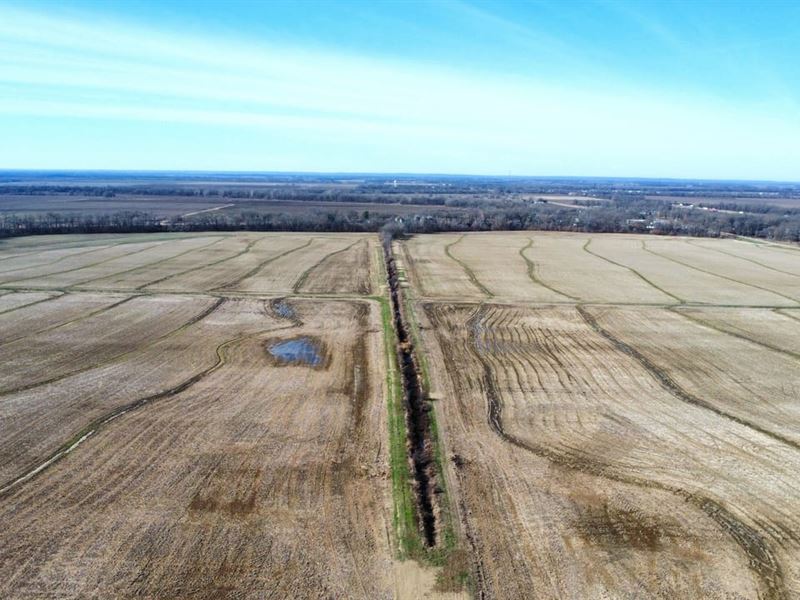 Prime Irrigated Farm & Waterfowl Pr : Heth : Saint Francis County : Arkansas