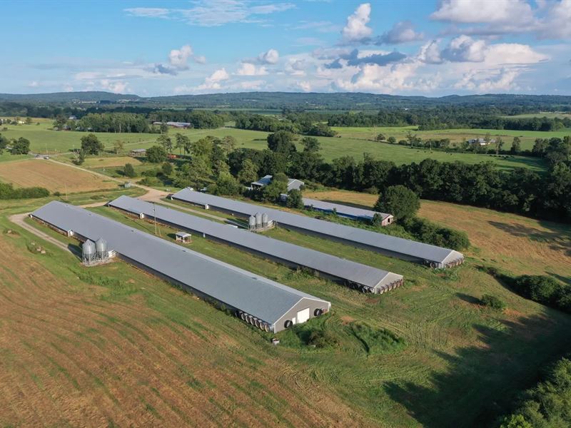 Kathy's Broiler Farm : Boaz : Blount County : Alabama