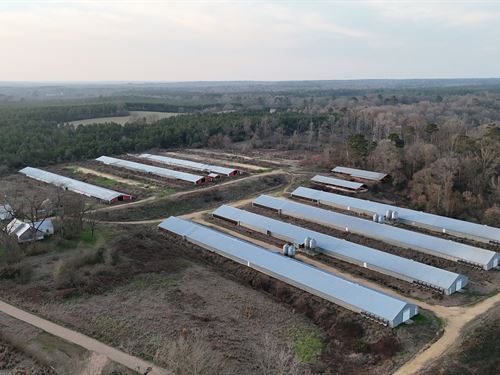 Miller Broiler Farm : Wesson : Copiah County : Mississippi