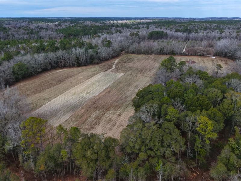 92.05 Acres in Crenshaw County, AL : Brantley : Crenshaw County : Alabama
