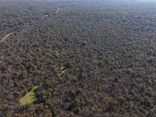 Big Sunflower 426, Sharkey County : Rolling Fork : Sharkey County : Mississippi