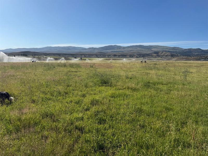 Northeast Oregon Ranch : Hereford : Baker County : Oregon