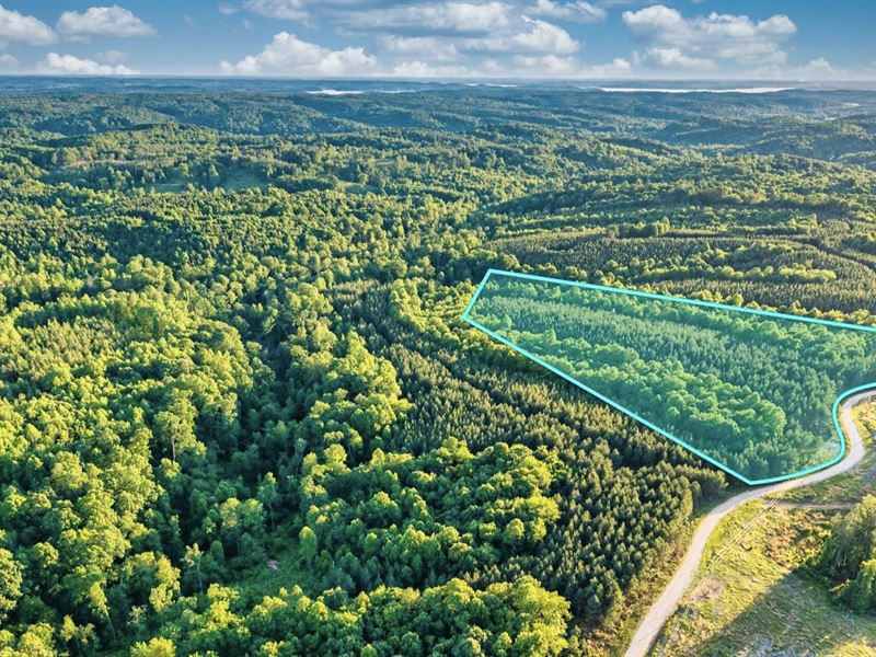 15.9 Acres, Power & Fiber Internet : Dover : Stewart County : Tennessee