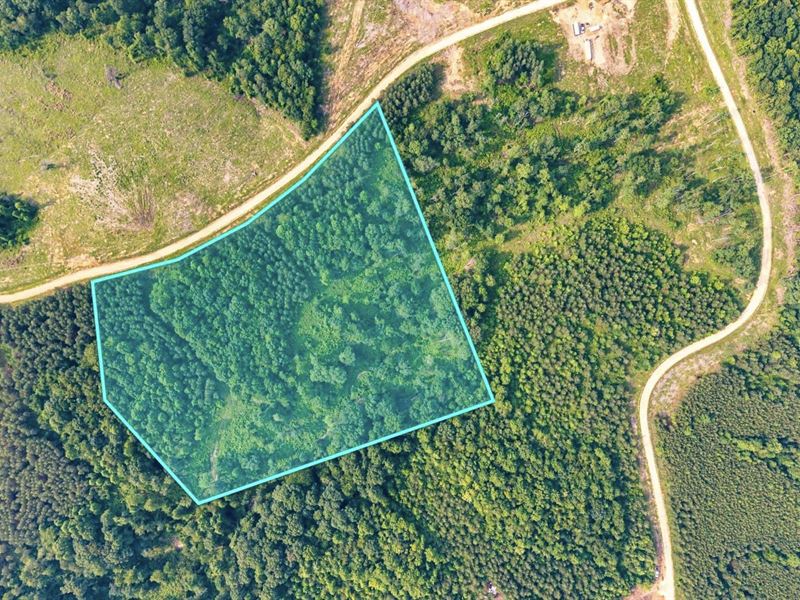9.5 Acres, Power & Fiber Internet : Dover : Stewart County : Tennessee
