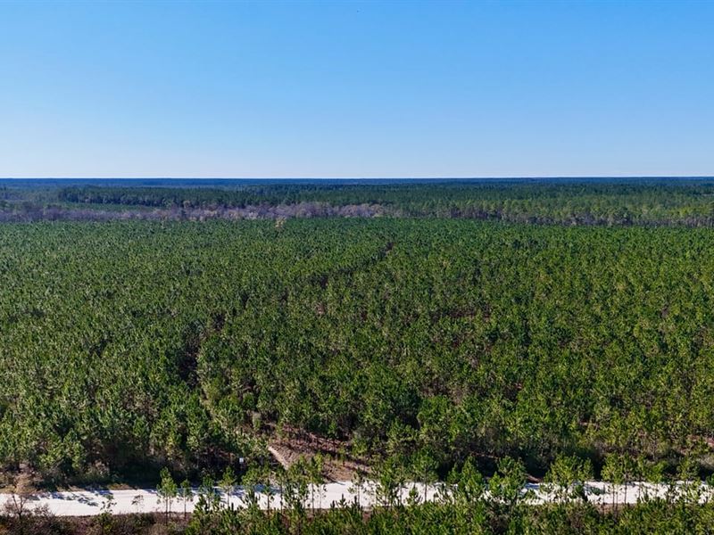 28 Acres on Owens Road in Wayne Cou : Odum : Wayne County : Georgia