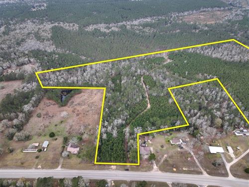 27 Acres, T-2, Highway 87, 00875 : Newton : Texas