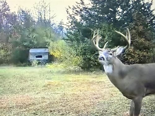 Sumpter Township, 80 Acres : Belleville : Wayne County : Michigan