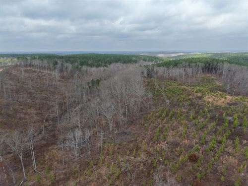 123 Acres in Benton County, TN : Holladay : Benton County : Tennessee