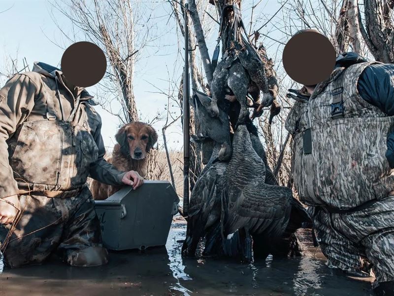 150 Acres in Coahoma County, MS : Clarksdale : Coahoma County : Mississippi