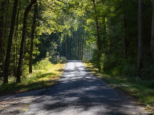 $999 Down Raw Land : Clifton : Perry County : Tennessee