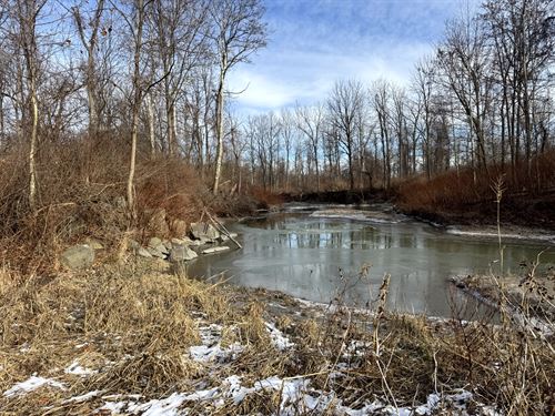 Scenic Setting on Keshequa Creek : Nunda : Livingston County : New York