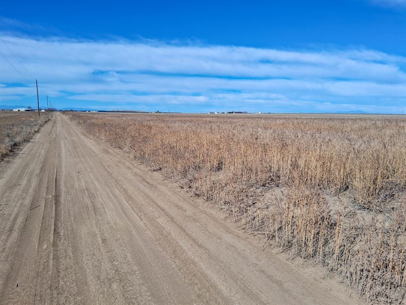 Farm Acreage, Pueblo County, CO : Avondale : Pueblo County : Colorado