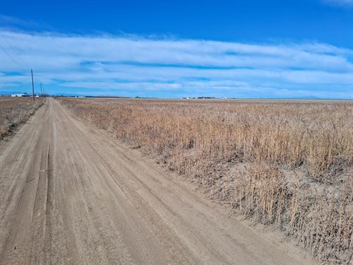 Farm Acreage, Pueblo County, CO : Avondale : Pueblo County : Colorado