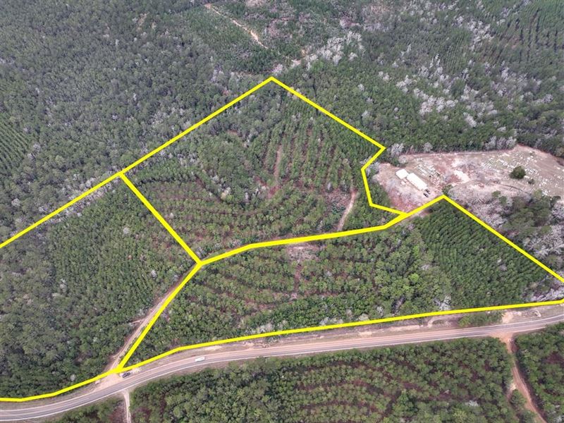 10 Acres, T-1, FM 1012, 0911 : Newton : Newton County : Texas