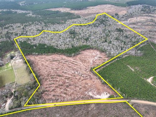 20 Acres, T-5, County Road 4590 : Spurger : Tyler County : Texas