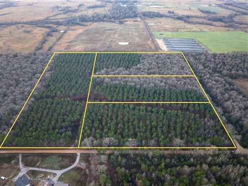 18 Acres, T-4, County Road 4251 : De Kalb : Bowie County : Texas