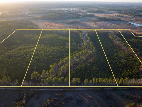 86 Acres, T-7, County Road 4415 : Annona : Red River County : Texas