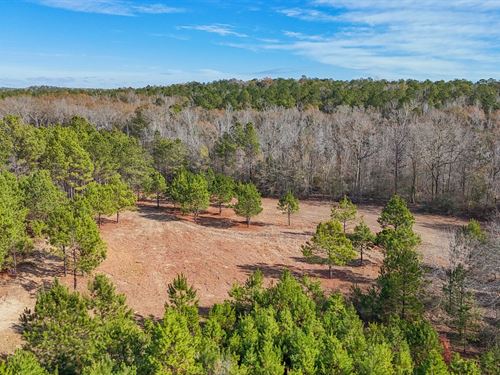 261 Acres, Prime Hunting / Family : Tuskegee : Macon County : Alabama