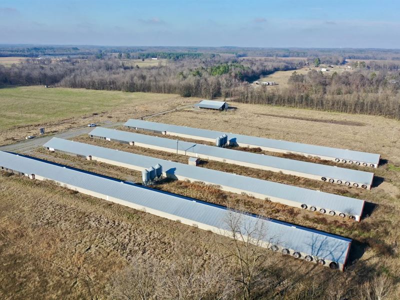 Tc343 Broiler Farm : Town Creek : Lawrence County : Alabama