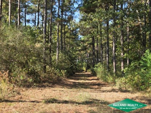 132 Ac Timberland Near Town : Garrison : Nacogdoches County : Texas