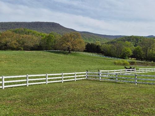 Cattle Farm, Creek, Views, Home : Pikeville : Bledsoe County : Tennessee
