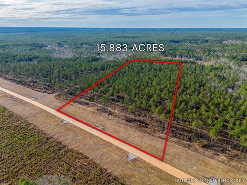 Lot 5, Lanes Creek Farms : Brooklet : Bulloch County : Georgia