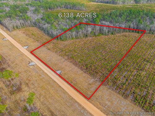 Lot 8, Lanes Creek Farms : Brooklet : Bulloch County : Georgia