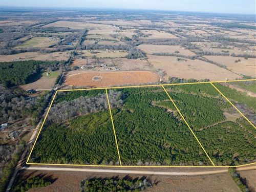 20 Acres, T-3, County Road 4245 : De Kalb : Bowie County : Texas