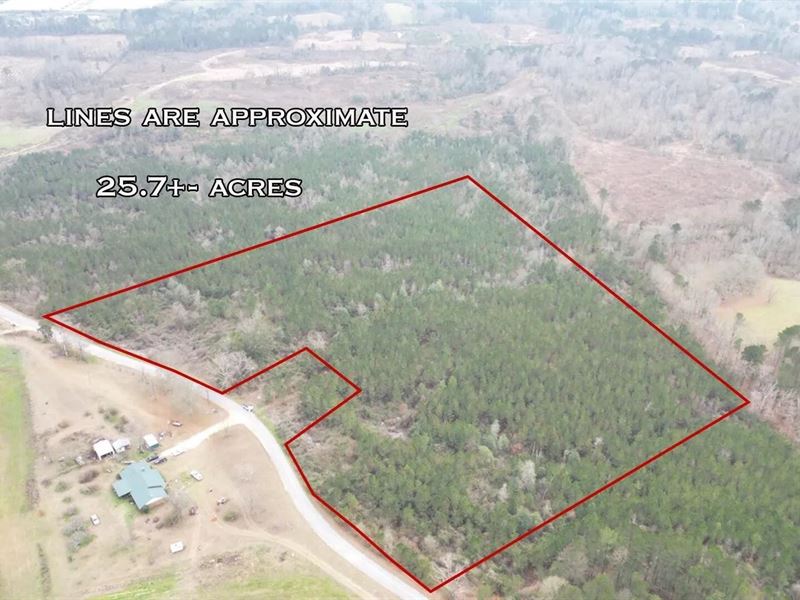 25.7 Acres for Sale in Smith County : Magee : Smith County : Mississippi