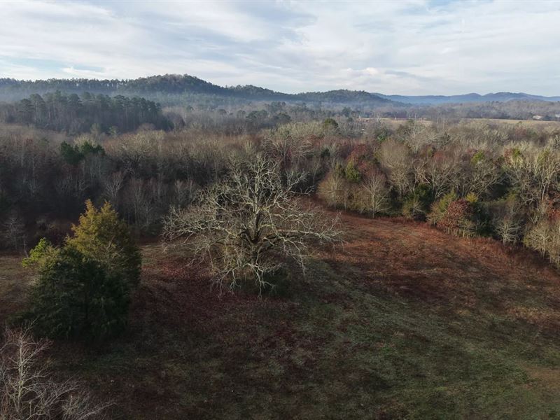 9.57 Acres Tract 9 in Montgomery : Oden : Montgomery County : Arkansas