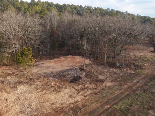 5.46 Acres Tract 13 In Montgomery : Oden : Montgomery County : Arkansas