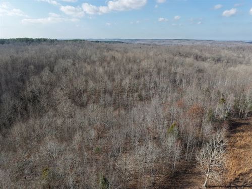 338 Acres in Benton County, TN : Holladay : Benton County : Tennessee