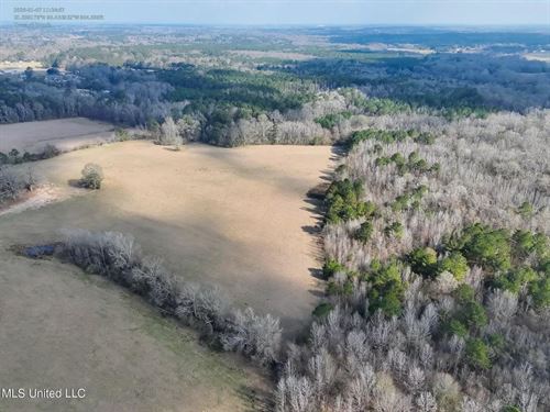 160 Acres in Lincoln County MS Near : Brookhaven : Lincoln County : Mississippi
