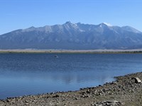 Wild Horses. Sand Dunes. Mt. Blanca : San Luis : Costilla County : Colorado