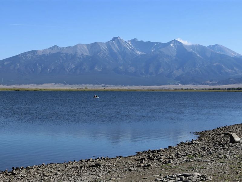 Wild Horses. Sand Dunes. Mt. Blanca : San Luis : Costilla County : Colorado