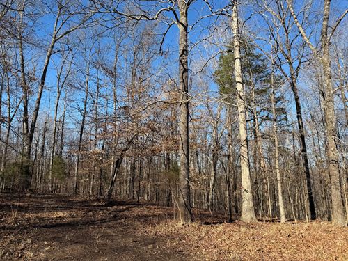 Wooded Land to Build on in TN : Savannah : Hardin County : Tennessee