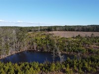 Chinook Tract : Blair : Fairfield County : South Carolina