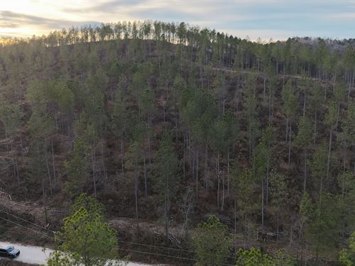 Gleneagles Tract 4 : Piedmont : Cherokee County : Alabama